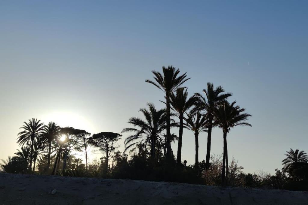 Appartamento Latido Del Puerto Sagunto Esterno foto